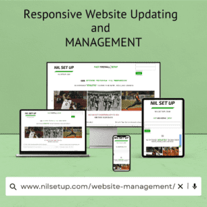 Website Management | nilsetup.com