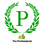 The Professional | For Experienced Developers or Website Managers