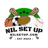 2024 nilsetup.com Official Logo